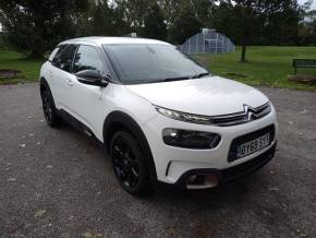 CITROEN C4 CACTUS 2019 (69) at Sportif Motor Group Aylesbury