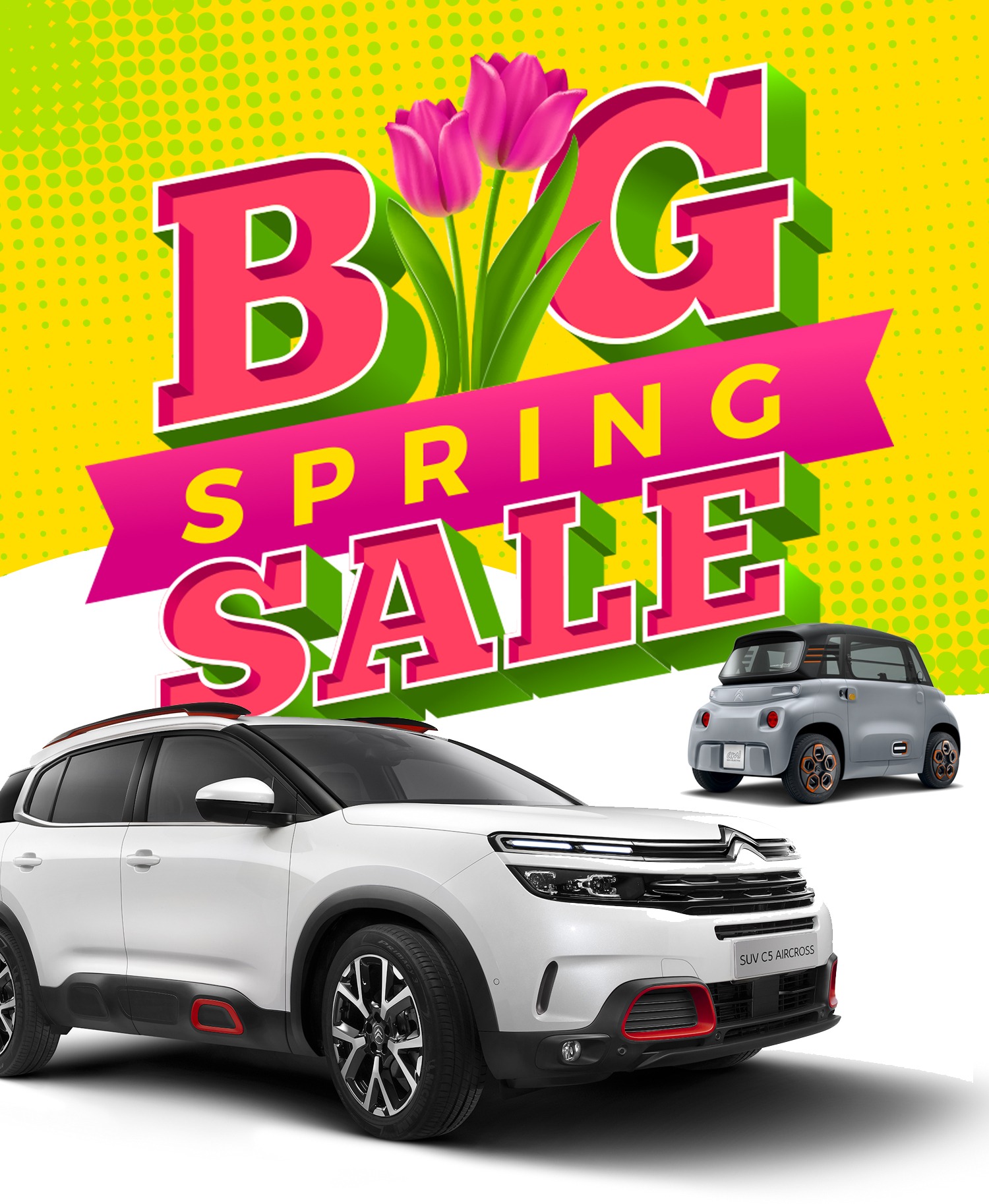 Big Spring Sale